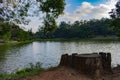 Acclimatization park sÃÂ£o paulo brazil green grove and clean pond